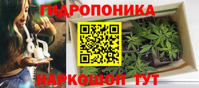 кристаллы Гатчина